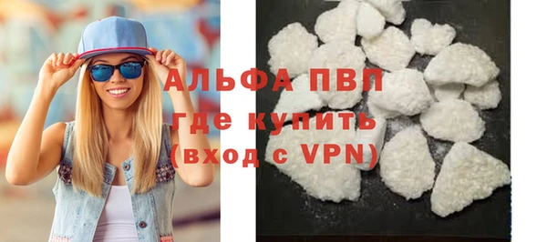 стаф Белокуриха