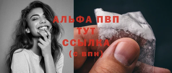 стаф Белокуриха