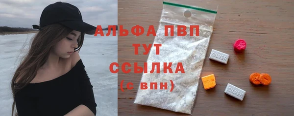 стаф Белокуриха
