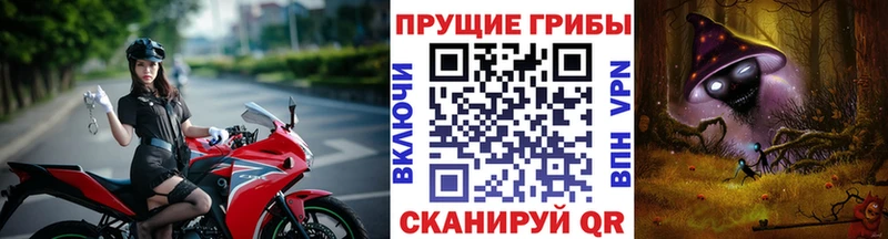 MEGA ТОР Княгинино Галлюциногенные грибы прущие грибы
